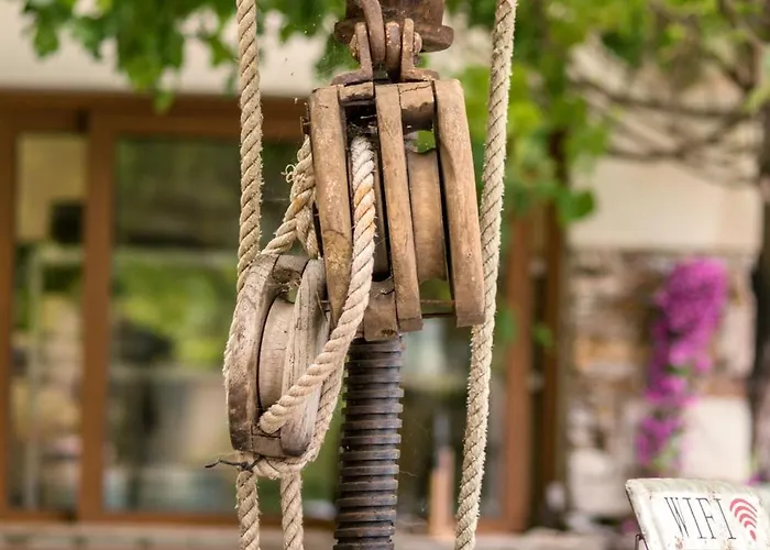 Ferme U San Martinu Sisco