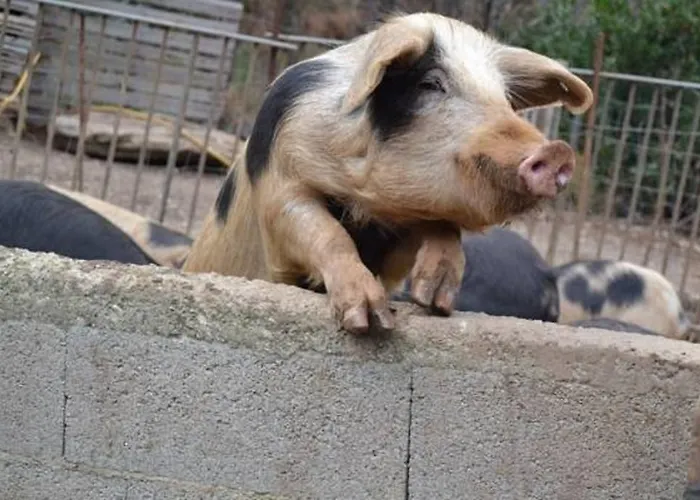 Ferme U San Martinu 3*