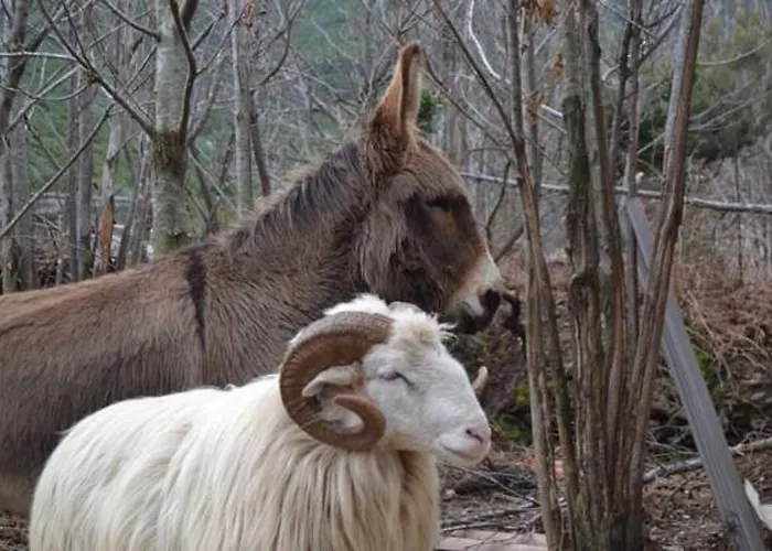 Ferme U San Martinu Frühstückspension 3*