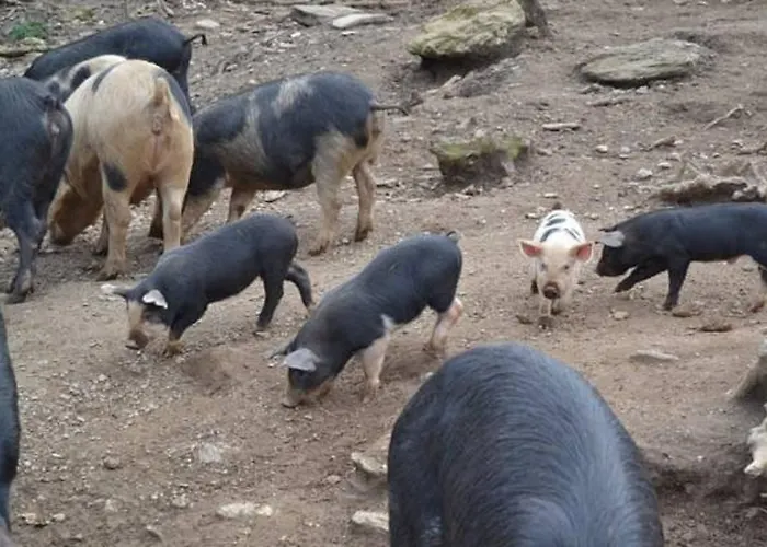 Frühstückspension Ferme U San Martinu 3*