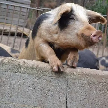 Ferme U San Martinu 3*