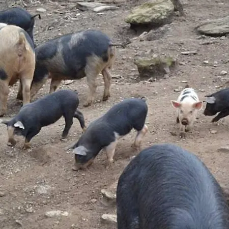 Panzió Ferme U San Martinu 3*