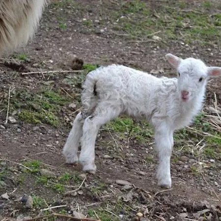 Ferme U San Martinu 3*