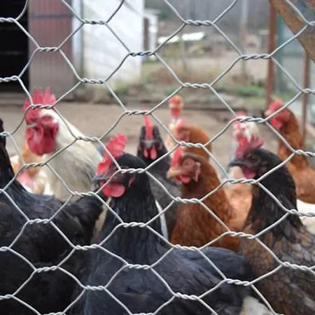 Panzió Ferme U San Martinu