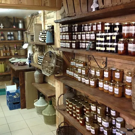 Ferme U San Martinu Bed and breakfast *