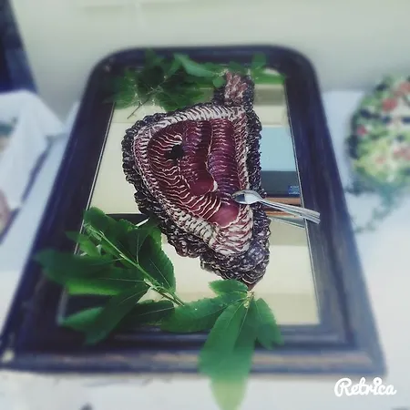 Ferme U San Martinu Sisco