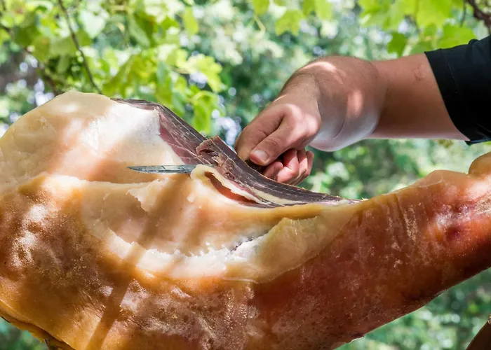 Ferme U San Martinu 3* Sisco